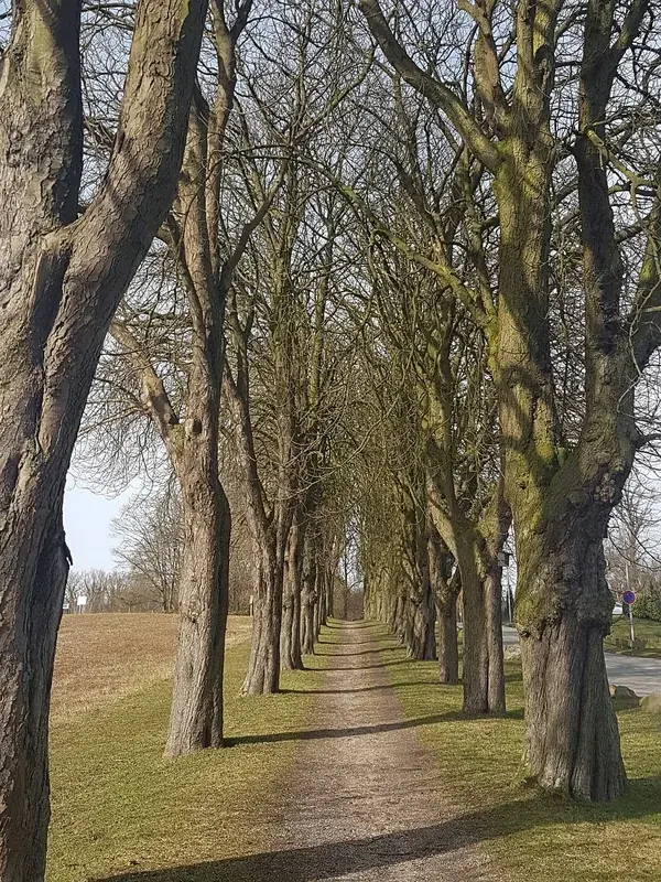 Hansa-Park Sierksdorf