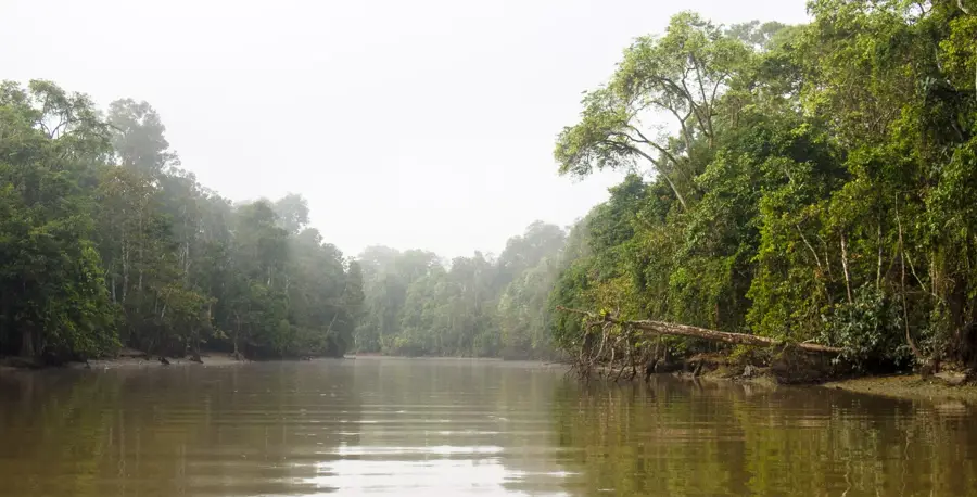 Râul Kinabatangan — Menggatal (Malaysia)