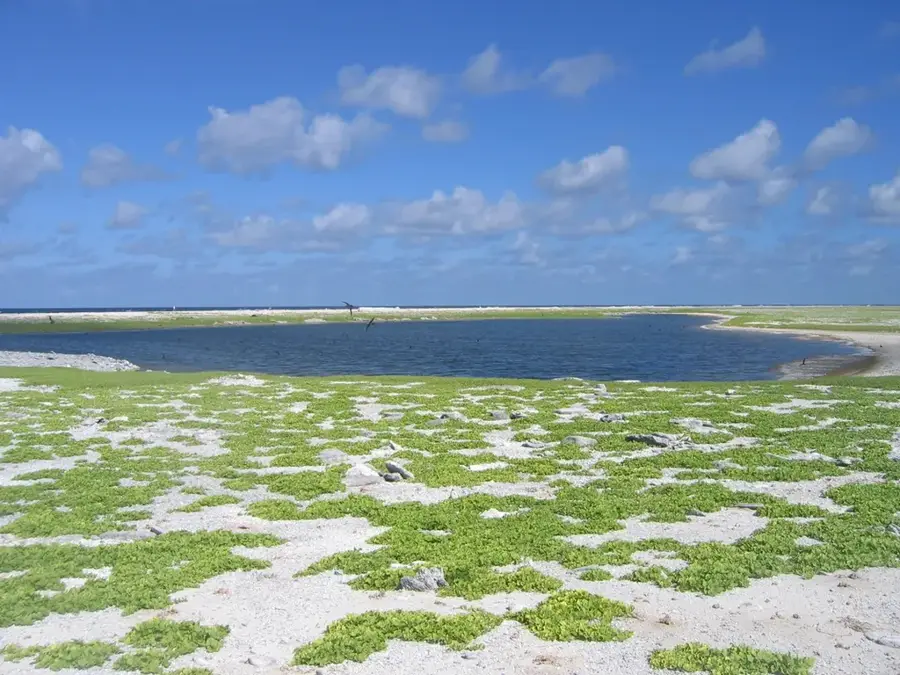 Insula Birnie — Insula Kanton (Kiribati)
