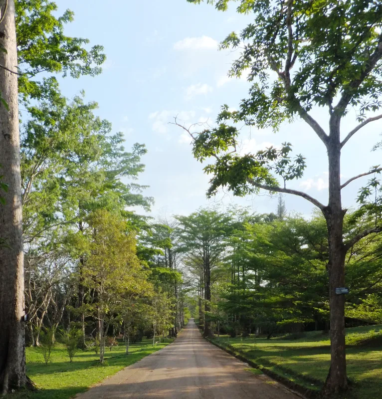 Kisantu Botanical Garden