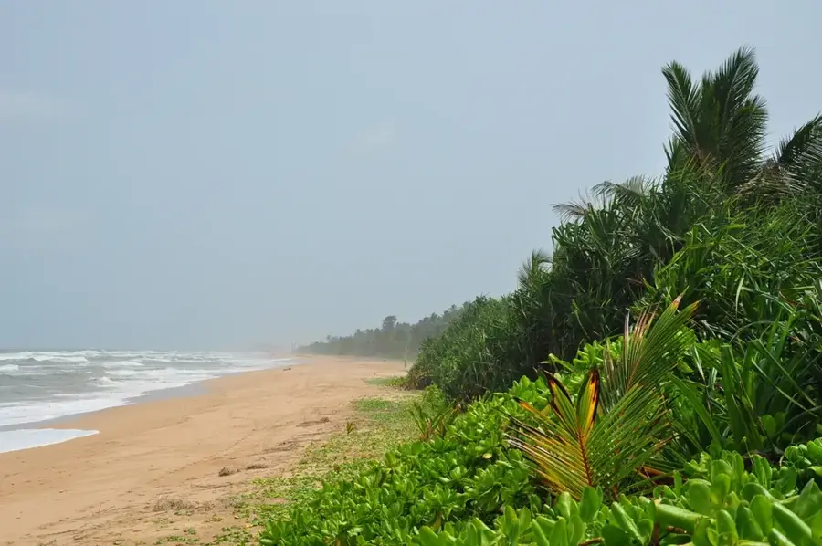 Proiectul de Conservare a Țestoaselor Marine din Kosgoda — Akurala (Sri Lanka)