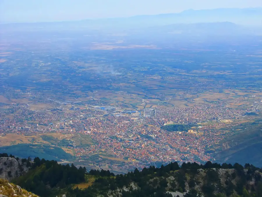Peja