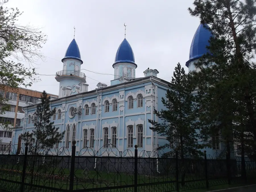 Câmpurile de grâu din Kostanay — Kostanay (Kazahstan)