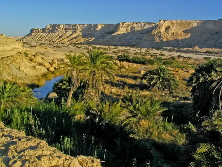 Ksar von Ouargla