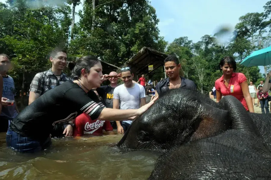 Kuala Gandah Elephant Orphanage