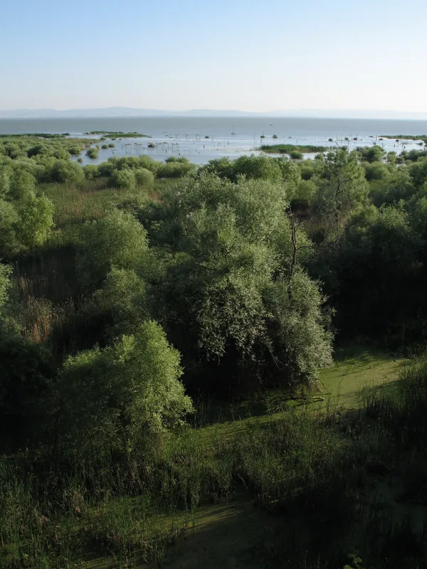 Kuşcenneti National Park