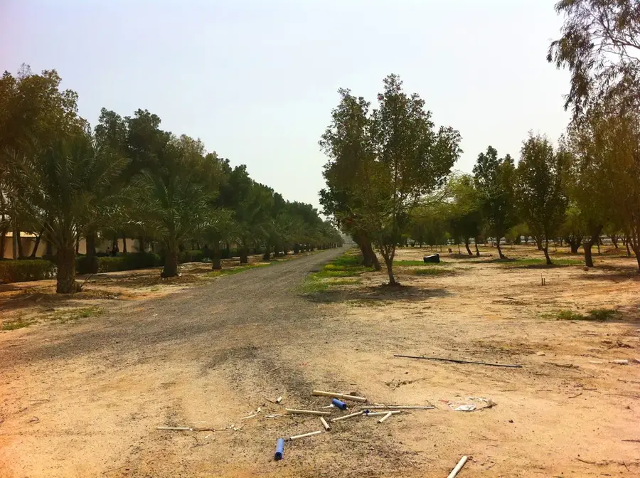 Messila Coast — Bubiyan Island (Kuwait)