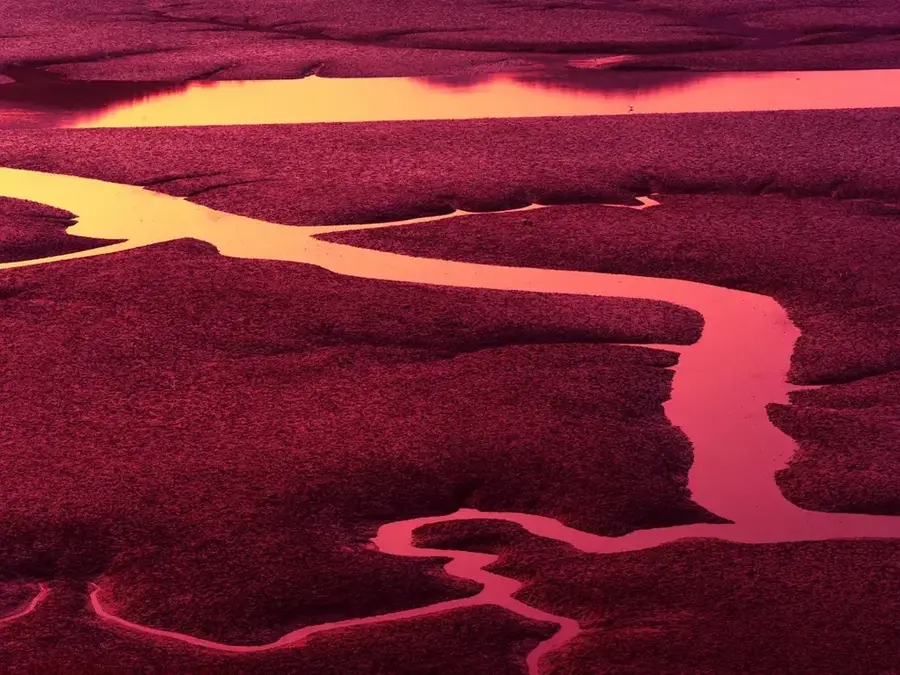 Subiya Mudflats — Karun River (Iran)