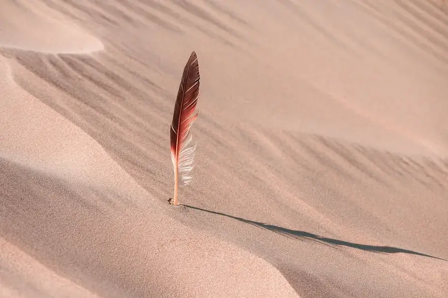Umm Ruaba Dunes