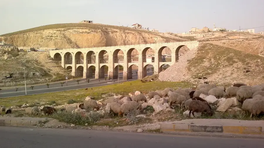 Wadi Al-Rimam — Warbah Island (Kuwait)
