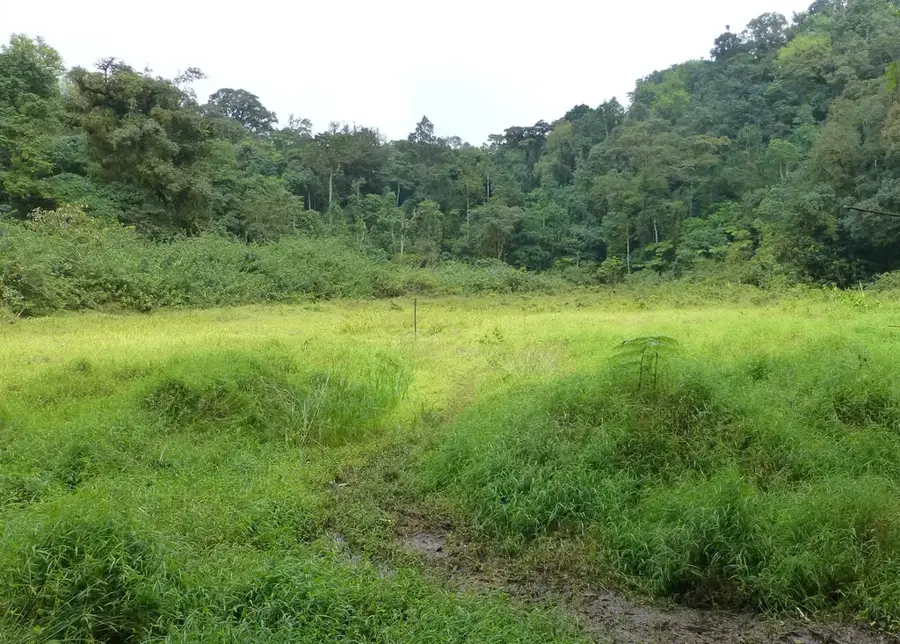 Lagoa Amélia