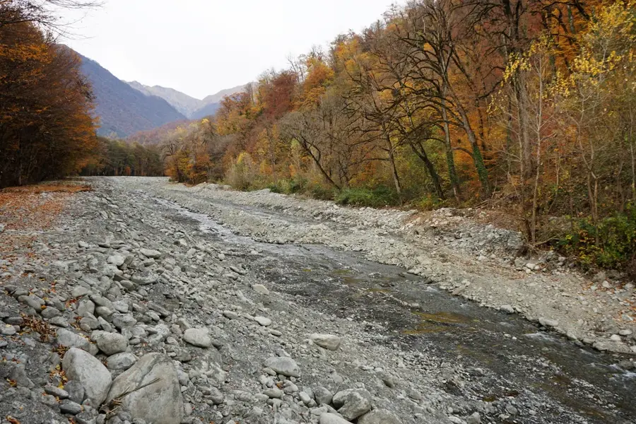 Lagodekhi Protected Areas