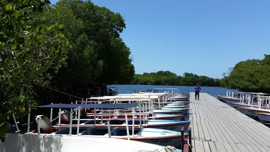 Laguna La Restinga