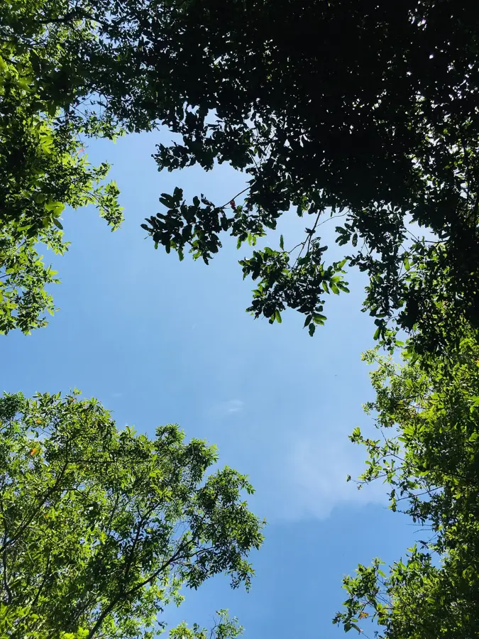 Lahugala-Kitulana-Nationalpark — Okanda (Sri Lanka)