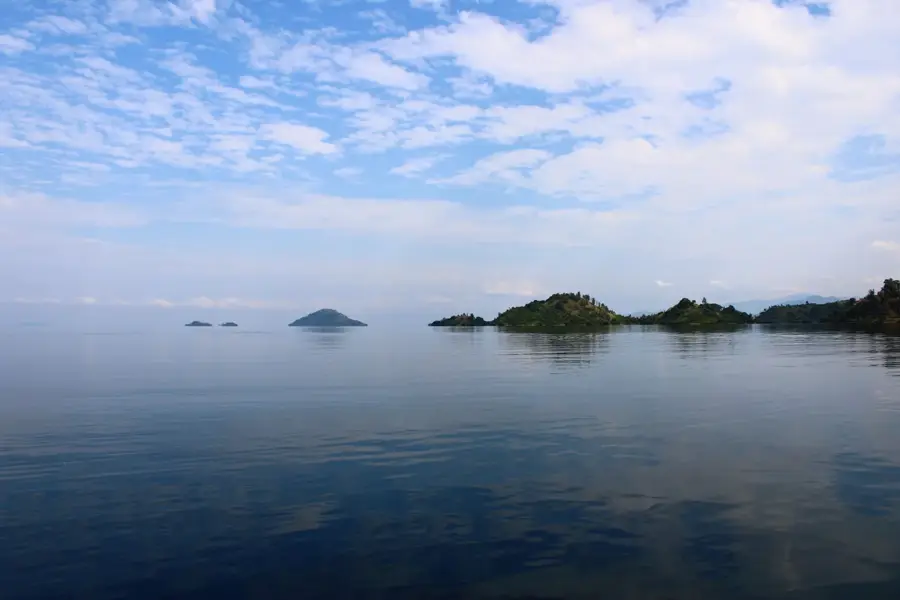 Kiwusee