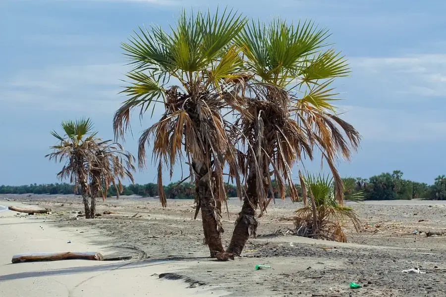 Turkana-See