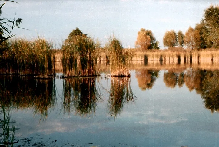 Vajaer See — Nagyecsed (Ungarn)