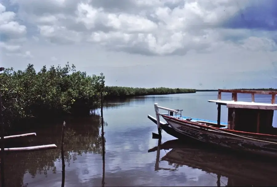 Lamin Lodge & Mangroves