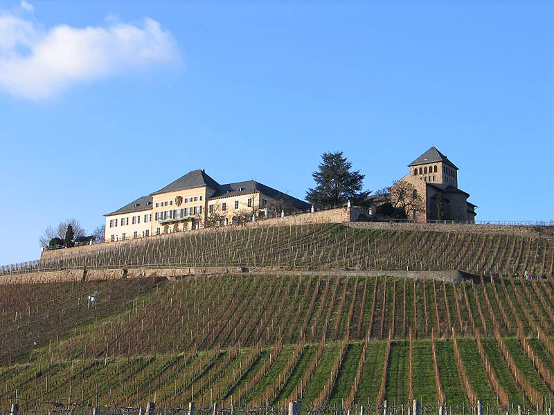 Rheingau – landmark