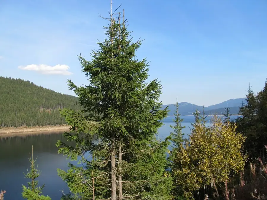 Transalpina Road — Corbu (Romania)