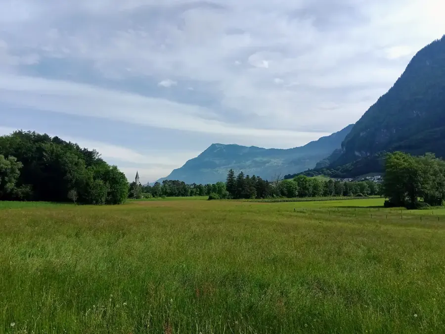 Balzers Forest