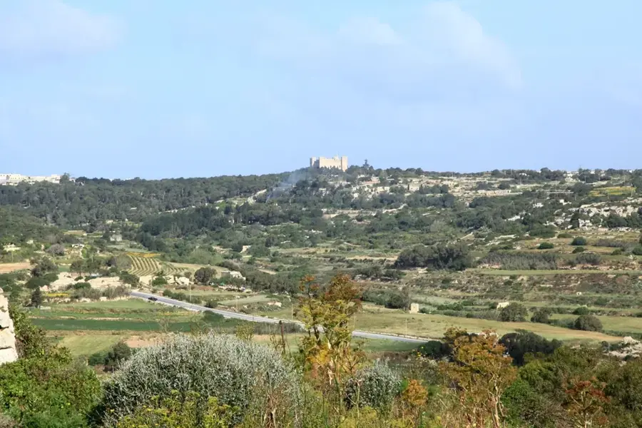 Buskett Gardens (Woodland) — The Vegetable Patch (Malta)