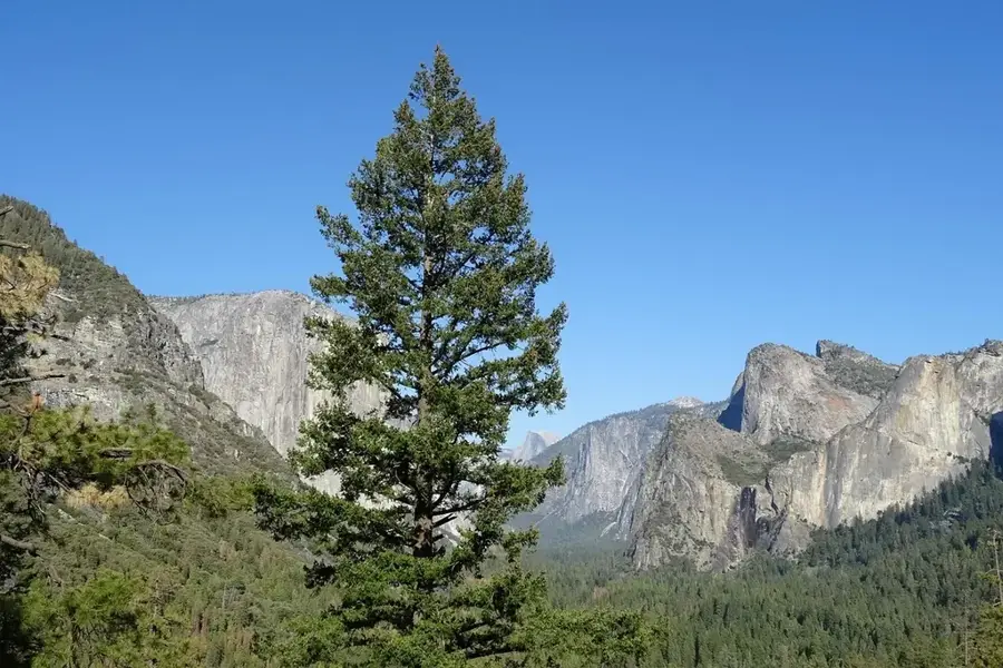 Cedar Valley