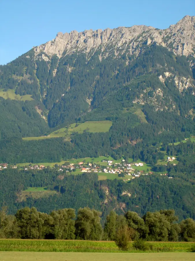 Planken Wald — Eichen (Liechtenstein)