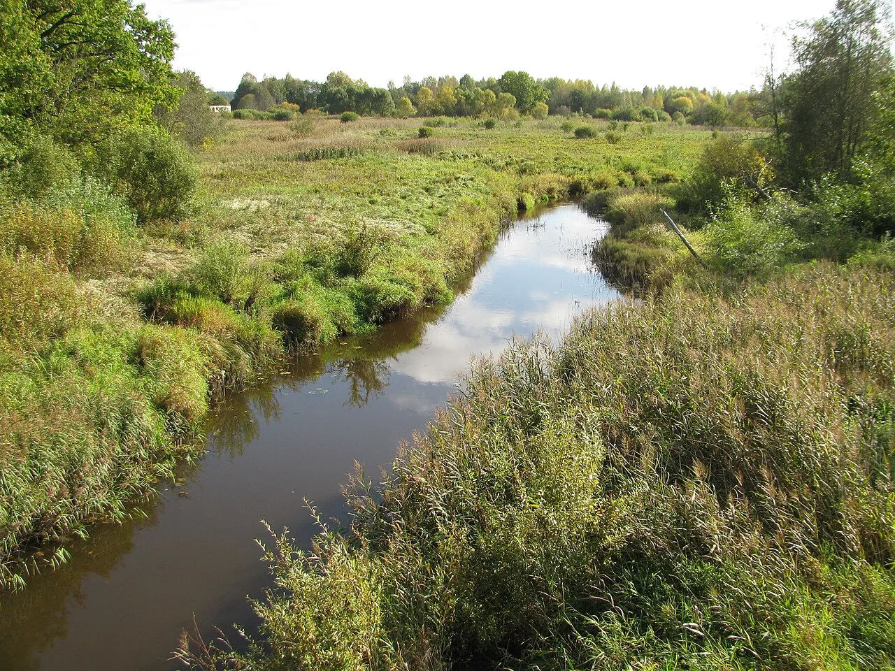 Alksne Hill