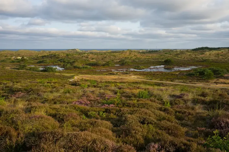 Dune Nature Reserve