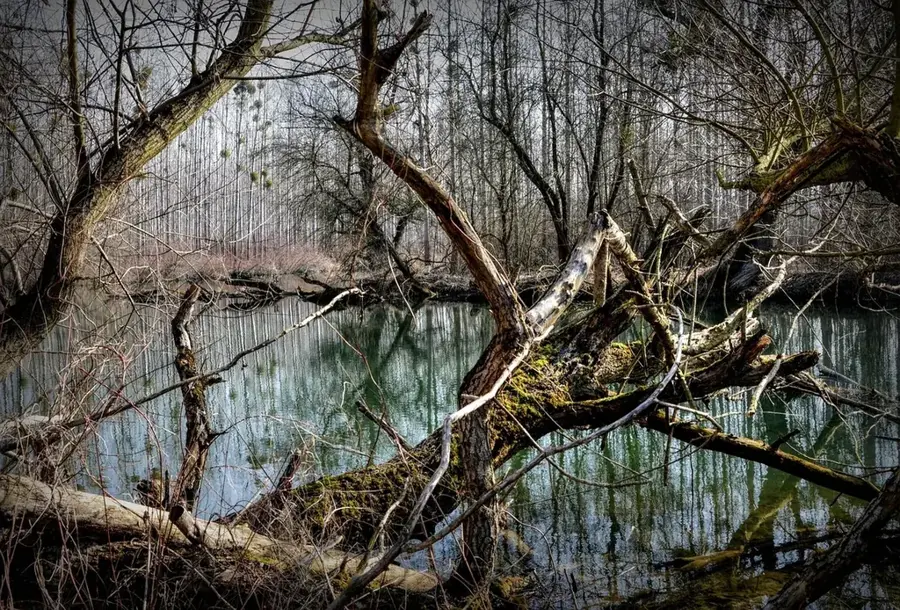 Dviete Floodplain Nature Park — Bandar Laft (Iran)