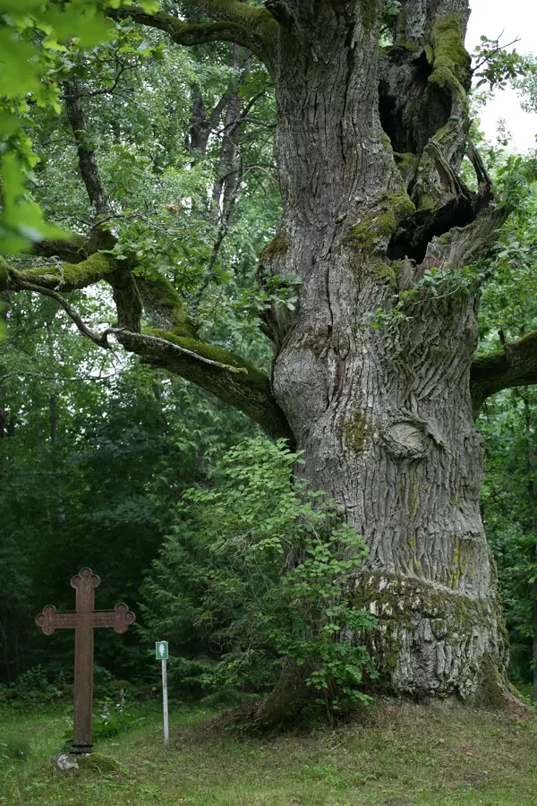 Grieze Nature Park