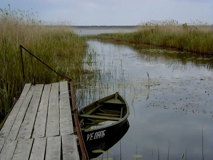 Lubans Shoreline — Bandar Abbas (Iran)