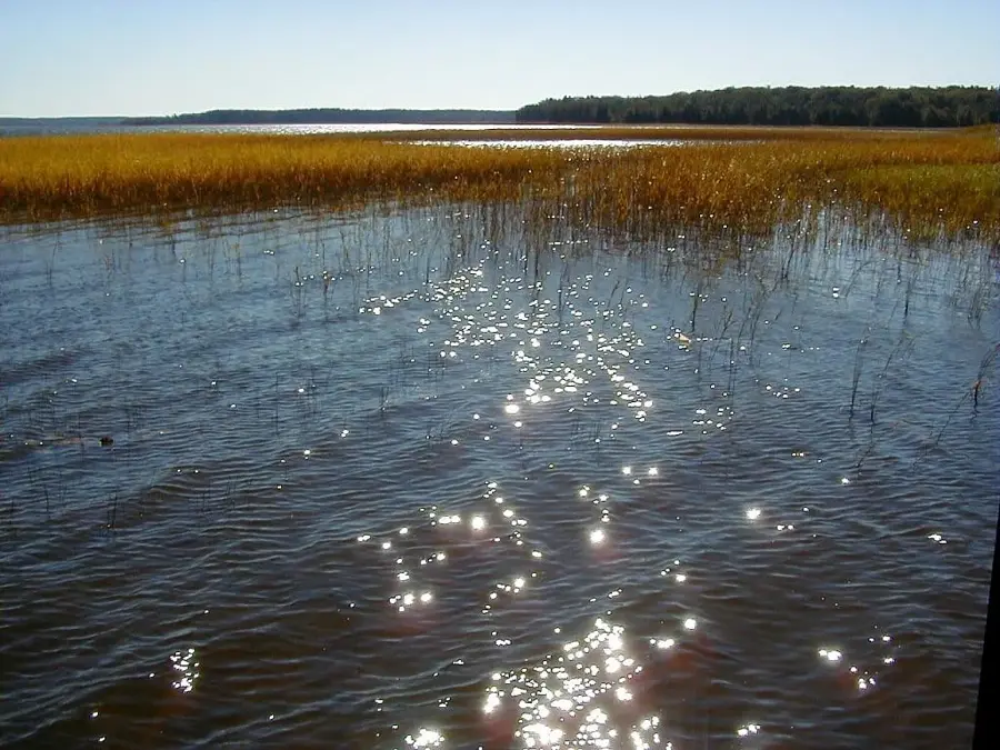 Moricsala Nature Reserve