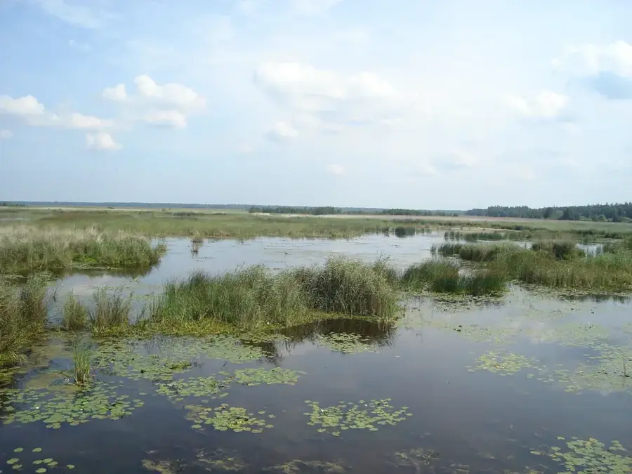 Pape Lake — Haima (Oman)