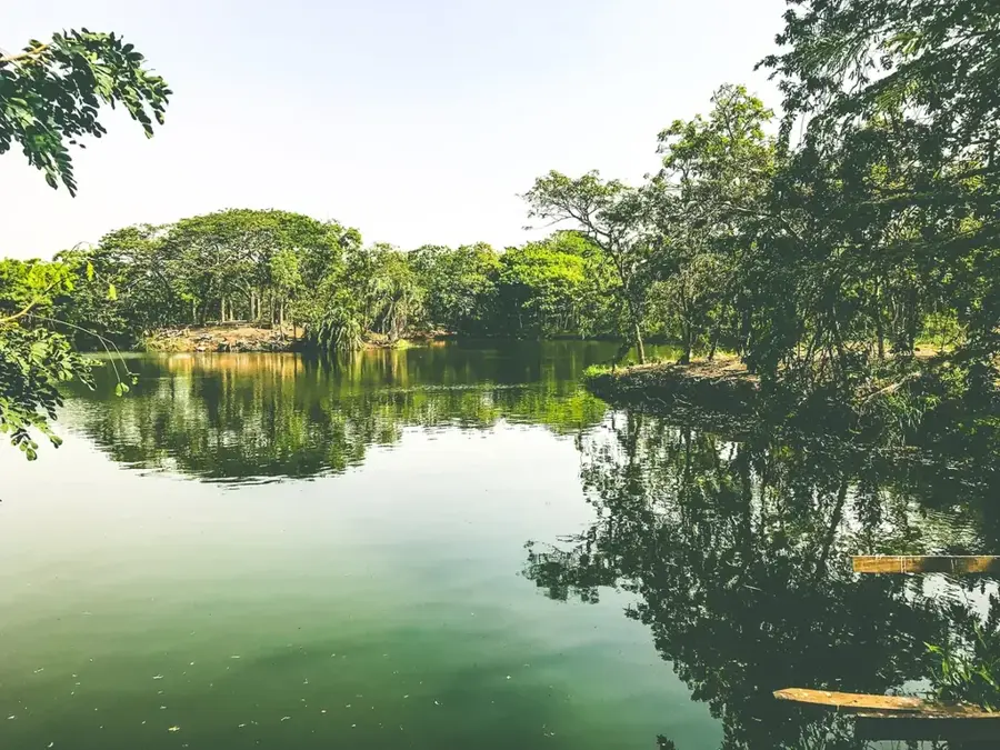 Grădina Botanică Legon — Accra (Ghana)