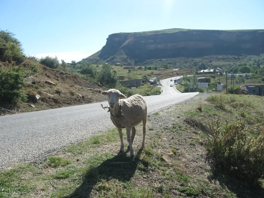 Caledonspoort-Grenzübergang