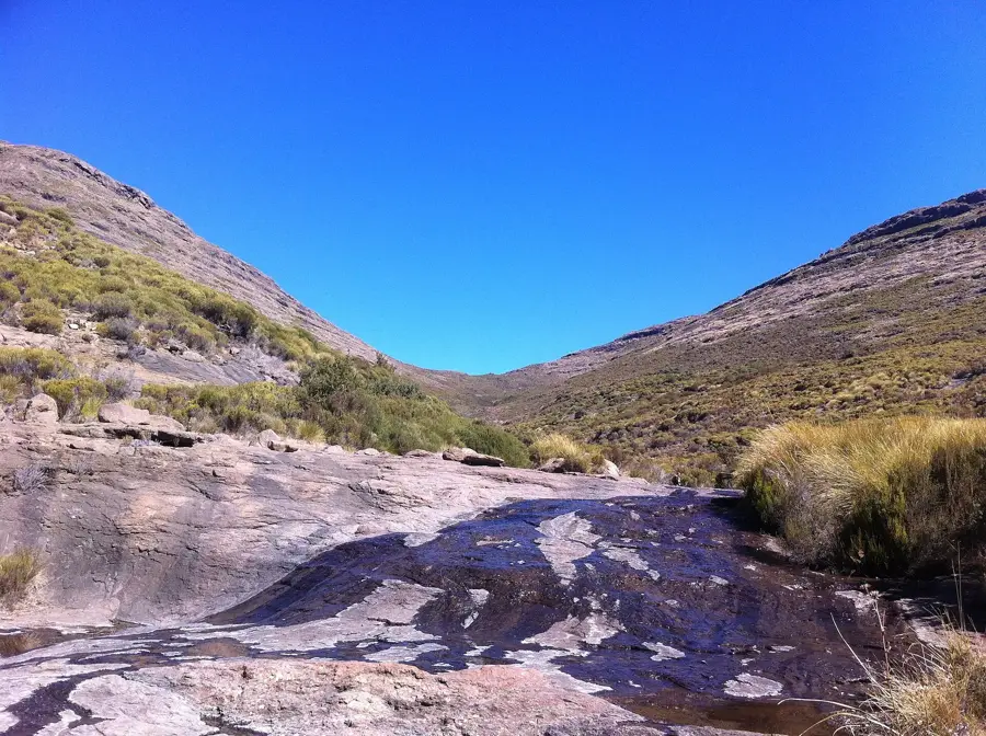 Machache