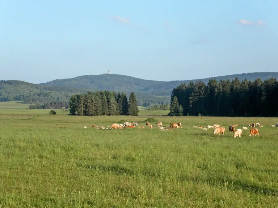 Ruinele Castelului de Sus – obiectiv turistic