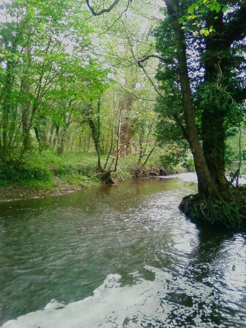 Râul Lave