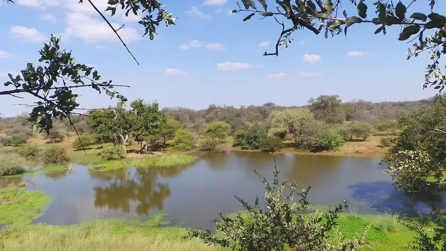 Limpopo Wildtierschule — Massingir-Talsperre (Mosambik)