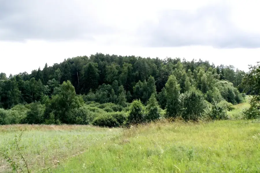 Dubysa Regional Park