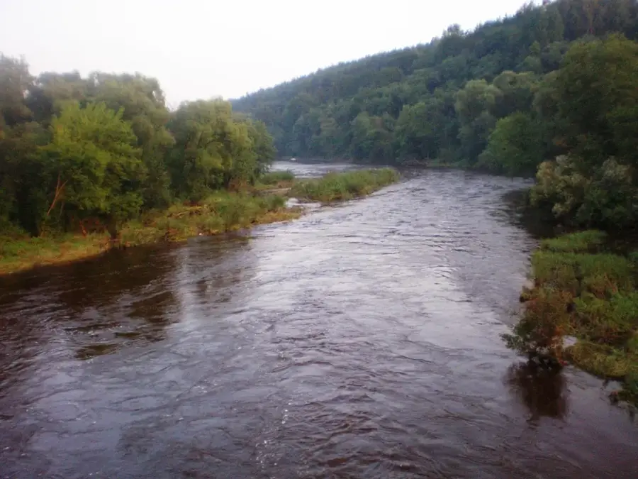 Dubysa Valley