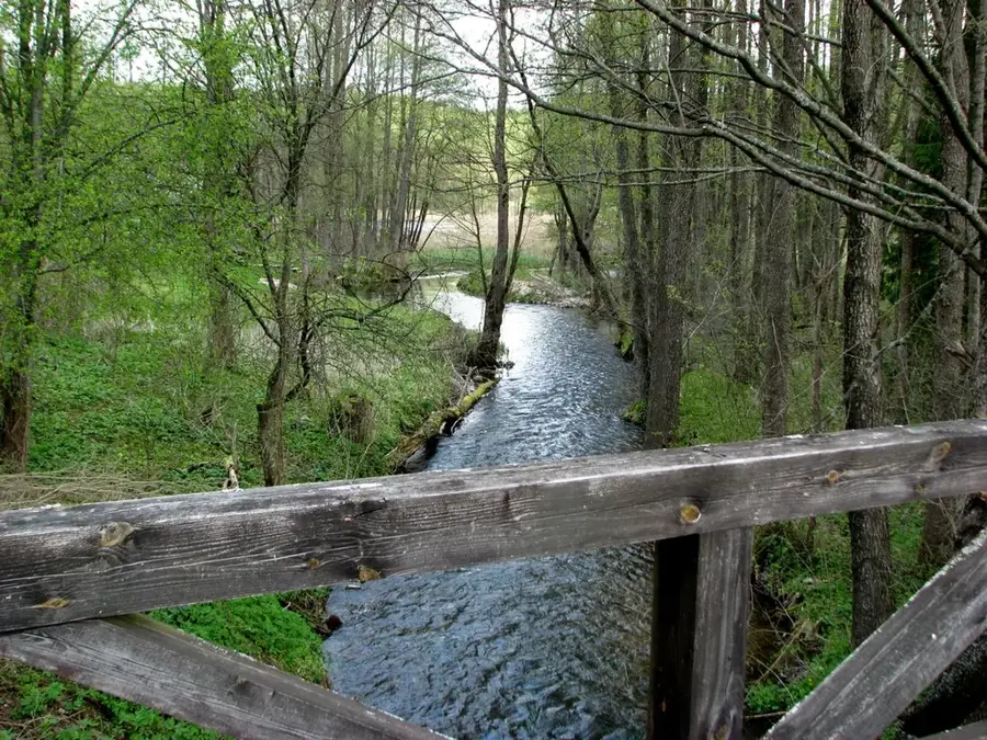 Dzūkija Highland