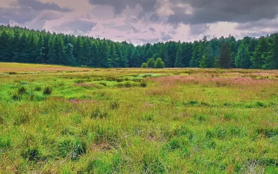 Gražutė Regional Park