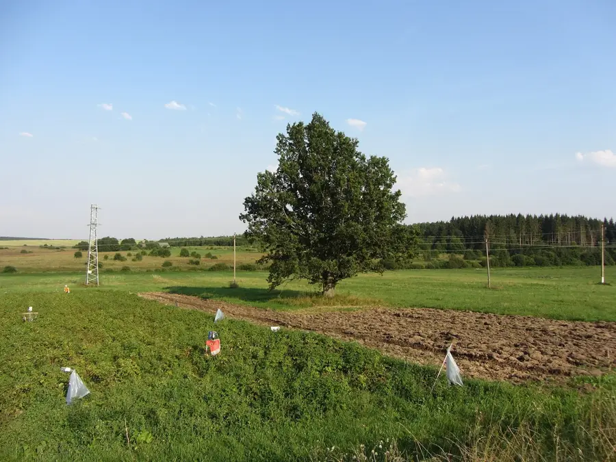 Juozapinė Ridge