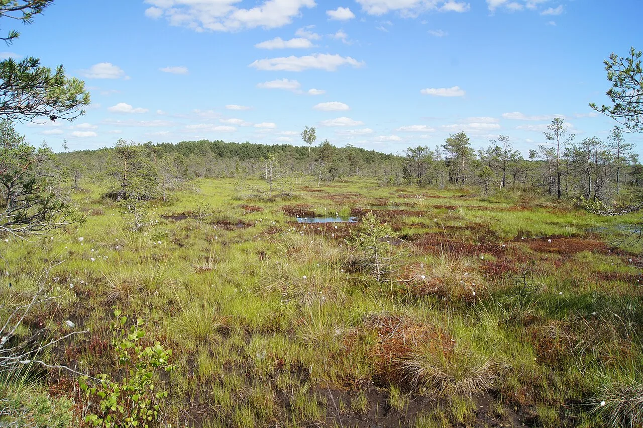 Kamanos Nature Reserve