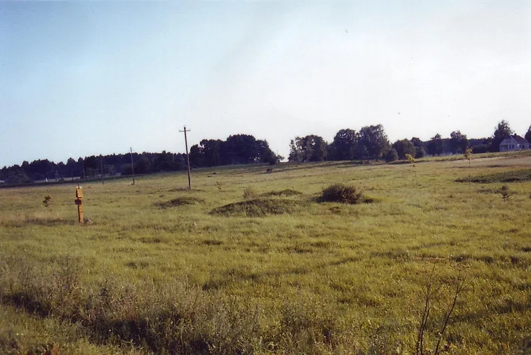 Mosėdis
