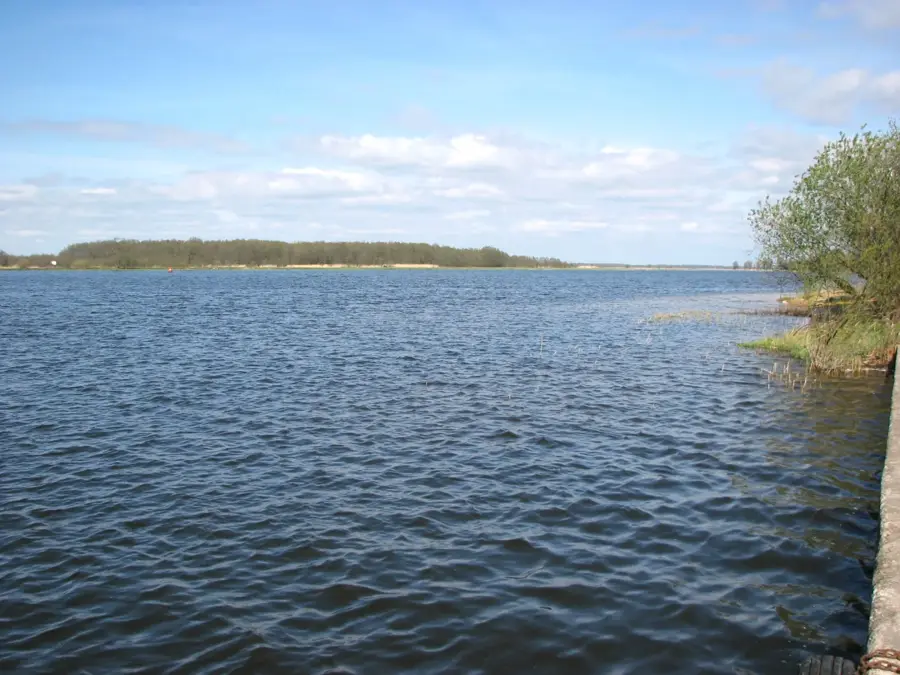 Nemunas Delta