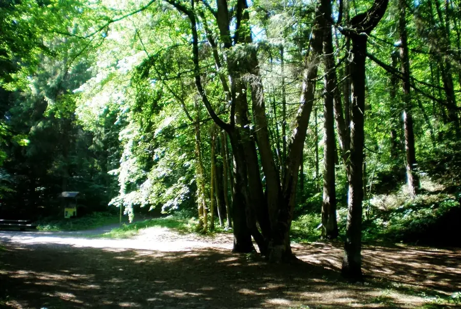 Pavilniai Regional Park